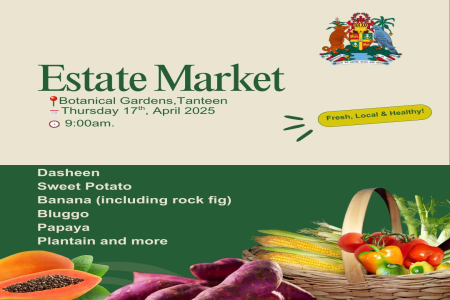 Estate Market Continues