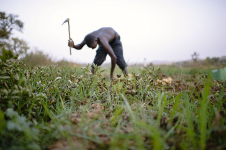 Important Land Tenure Regularization Update