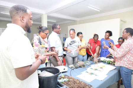 Capacity Building Training Continues