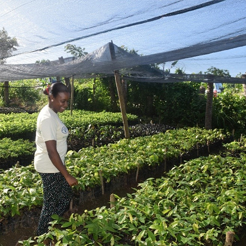 Agronomy