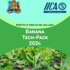 Banana Tech-Pack 2026